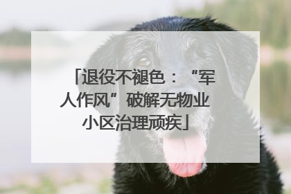 退役不褪色：“军人作风”破解无物业小区治理顽疾