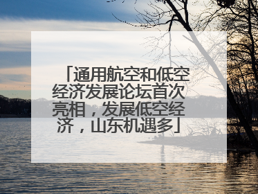 通用航空和低空经济发展论坛首次亮相，发展低空经济，山东机遇多