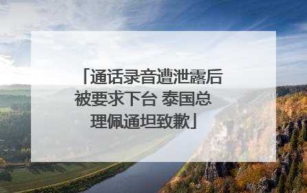 通话录音遭泄露后被要求下台 泰国总理佩通坦致歉