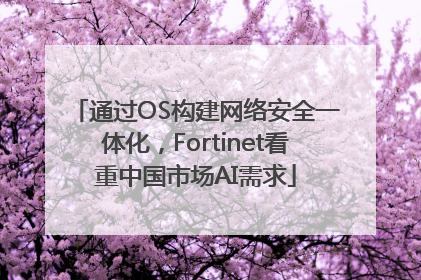 通过OS构建网络安全一体化，Fortinet看重中国市场AI需求