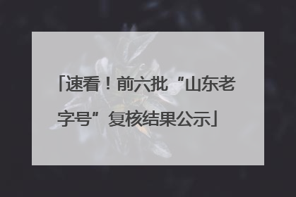 速看！前六批“山东老字号”复核结果公示
