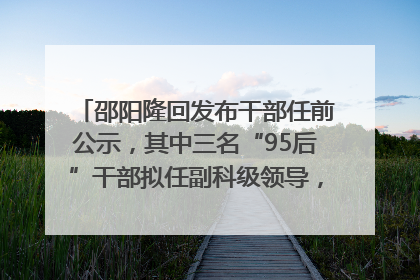 邵阳隆回发布干部任前公示，其中三名“95后”干部拟任副科级领导，均系硕士选调生