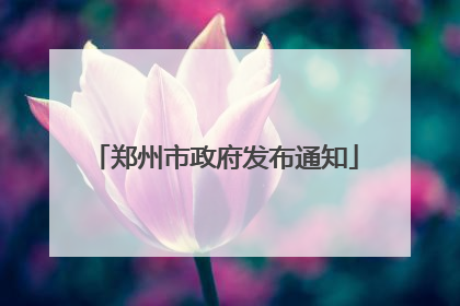 郑州市政府发布通知