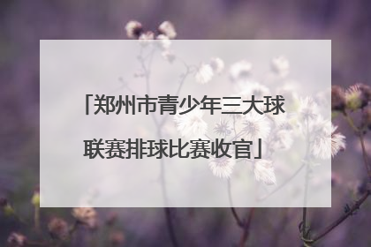 郑州市青少年三大球联赛排球比赛收官