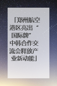 郑州航空港区亮出“国际牌” 中韩合作交流会释放产业新动能