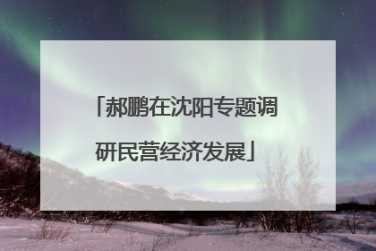 郝鹏在沈阳专题调研民营经济发展