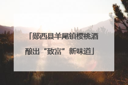 郧西县羊尾镇樱桃酒酿出“致富”新味道