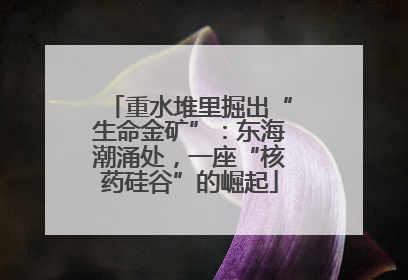 重水堆里掘出“生命金矿”：东海潮涌处，一座“核药硅谷”的崛起