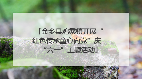 金乡县鸡黍镇开展“红色传承童心向党”庆“六一”主题活动
