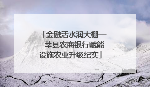 金融活水润大棚——莘县农商银行赋能设施农业升级纪实
