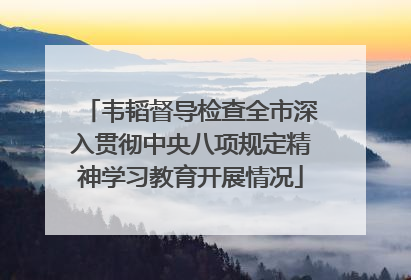 韦韬督导检查全市深入贯彻中央八项规定精神学习教育开展情况
