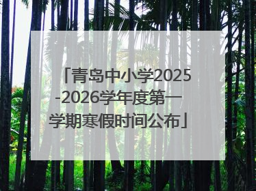 青岛中小学2025-2026学年度第一学期寒假时间公布
