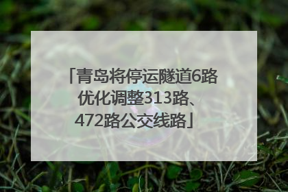 青岛将停运隧道6路 优化调整313路、472路公交线路