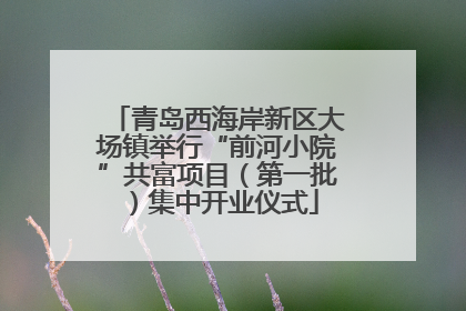 青岛西海岸新区大场镇举行“前河小院”共富项目（第一批）集中开业仪式