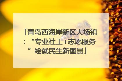 青岛西海岸新区大场镇：“专业社工+志愿服务”绘就民生新图景