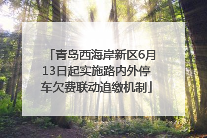 青岛西海岸新区6月13日起实施路内外停车欠费联动追缴机制