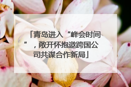 青岛进入“峰会时间”，敞开怀抱邀跨国公司共谋合作新局