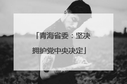 青海省委：坚决拥护党中央决定