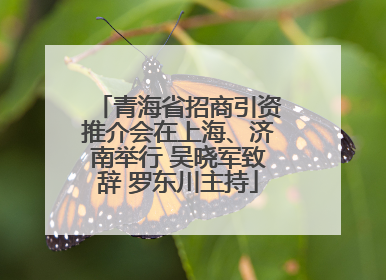 青海省招商引资推介会在上海、济南举行 吴晓军致辞 罗东川主持