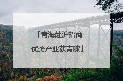 青海赴沪招商 优势产业获青睐