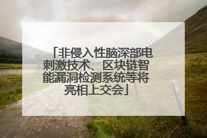 非侵入性脑深部电刺激技术、区块链智能漏洞检测系统等将亮相上交会