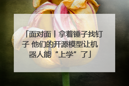 面对面丨拿着锤子找钉子 他们的开源模型让机器人能“上学”了