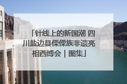 针线上的新国潮 四川盐边县傈僳族非遗亮相西博会｜图集