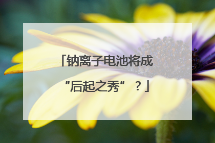 钠离子电池将成“后起之秀”？