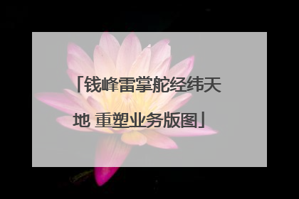 钱峰雷掌舵经纬天地 重塑业务版图