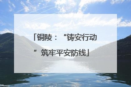 铜陵：“铸安行动”筑牢平安防线