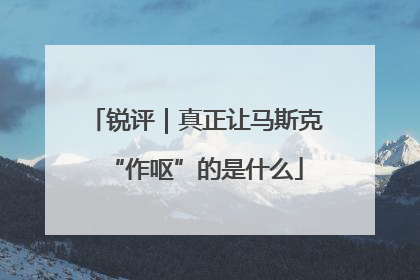 锐评｜真正让马斯克“作呕”的是什么