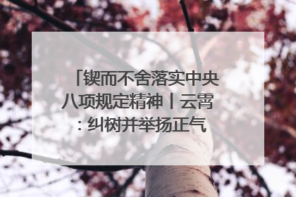 锲而不舍落实中央八项规定精神丨云霄：纠树并举扬正气 作风建设谱新章