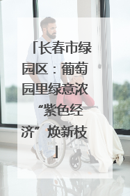 长春市绿园区：葡萄园里绿意浓 “紫色经济”焕新枝