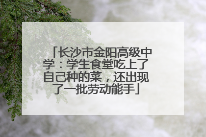 长沙市金阳高级中学：学生食堂吃上了自己种的菜，还出现了一批劳动能手