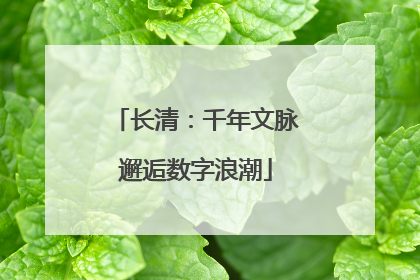 长清：千年文脉邂逅数字浪潮