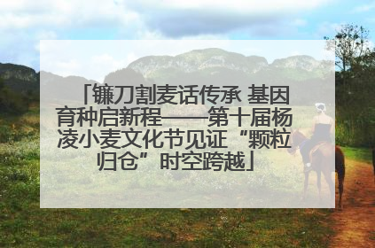 镰刀割麦话传承 基因育种启新程——第十届杨凌小麦文化节见证“颗粒归仓”时空跨越