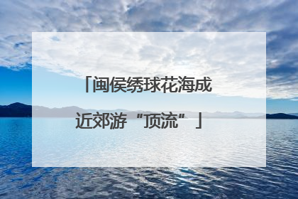 闽侯绣球花海成近郊游“顶流”