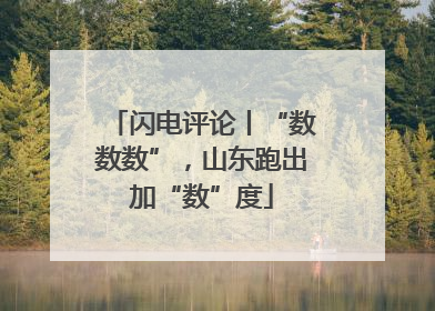 闪电评论丨“数数数”，山东跑出加“数”度