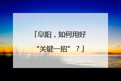 阜阳，如何用好“关键一招”？