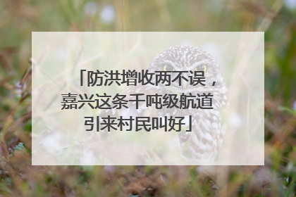 防洪增收两不误，嘉兴这条千吨级航道引来村民叫好