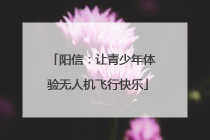 阳信：让青少年体验无人机飞行快乐
