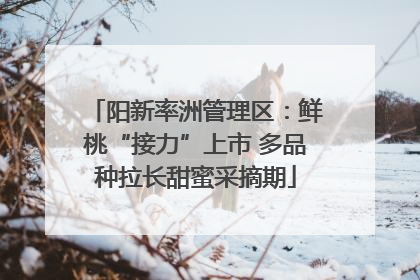 阳新率洲管理区：鲜桃“接力”上市 多品种拉长甜蜜采摘期
