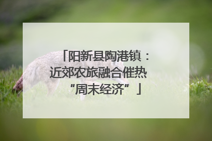 阳新县陶港镇：近郊农旅融合催热“周末经济”