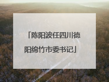 陈阳波任四川德阳绵竹市委书记
