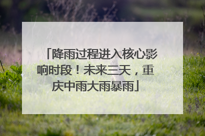 降雨过程进入核心影响时段！未来三天，重庆中雨大雨暴雨