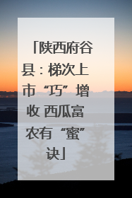 陕西府谷县：梯次上市“巧”增收 西瓜富农有“蜜”诀
