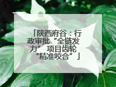 陕西府谷：行政审批“全链发力” 项目齿轮“精准咬合”