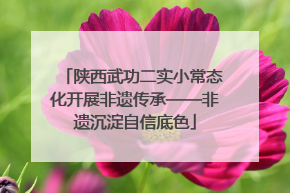 陕西武功二实小常态化开展非遗传承——非遗沉淀自信底色