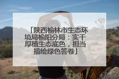 陕西榆林市生态环境局榆阳分局：实干厚植生态底色，担当描绘绿色答卷