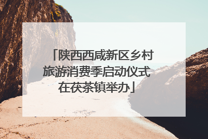 陕西西咸新区乡村旅游消费季启动仪式在茯茶镇举办
